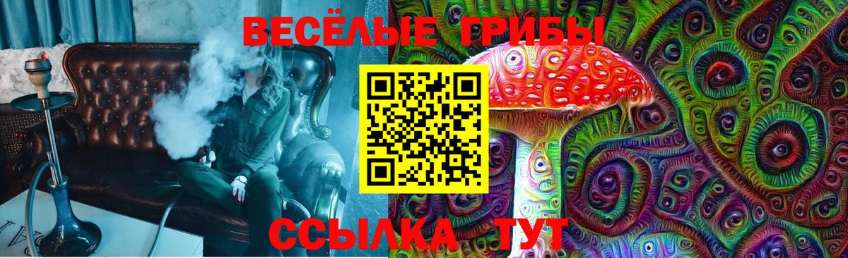 Псилоцибиновые грибы Cubensis Элиста